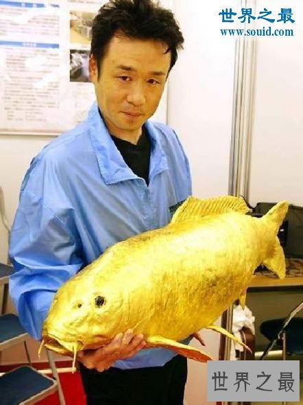 世界十大神奇的黄金生物,身体含有24K纯金