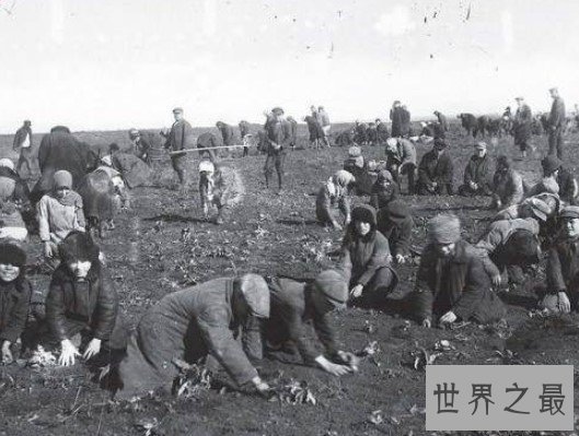 世界上最恐怖的大饥荒,直接造成的死亡人数超过500万