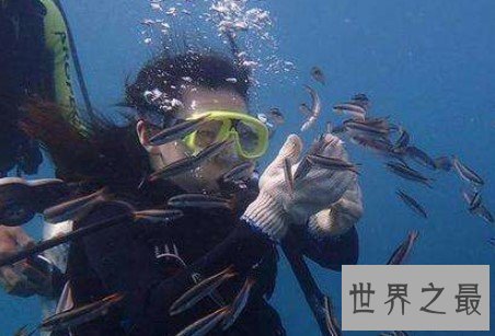 世界上人类潜水最深纪录是多少,332米为何成为人类潜水极限