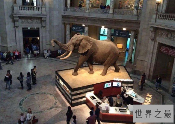 最大的自然历史博物馆,鸟类标本就有80多万件