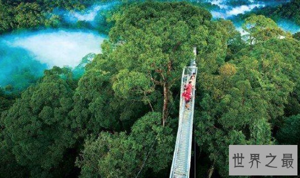 全球唯一一个3国共同管辖的岛屿,岛屿面积74.33万平方公里