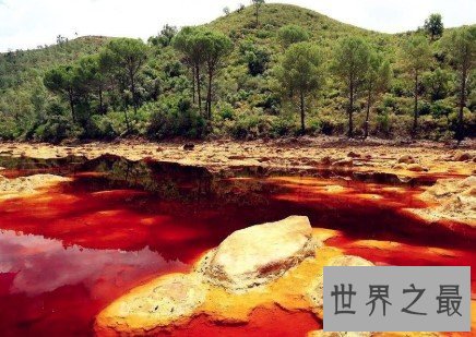 世界上污染最严重最危险的河流,金属都会被腐蚀