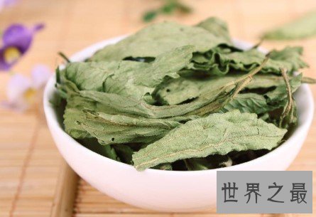 世界上最甜的植物,被人们称为活糖精