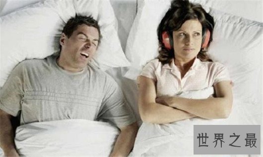 世界最大呼噜声居然是一只猫发出，最高可达七十分贝