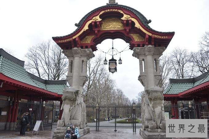 世界上动物最多的动物园，德国西柏林动物园稳占第一！