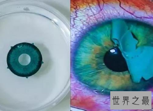 世界最夸张的整容美女，皮埃·福克斯花七十七万美元整容！