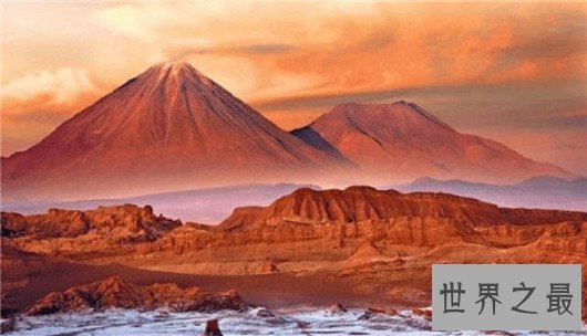 世界上最干燥的地方，阿塔卡马沙漠居然还有花束存在