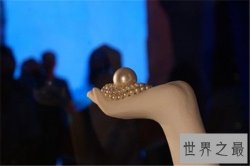世界上最大的珍珠排名，一颗价值可达上千万