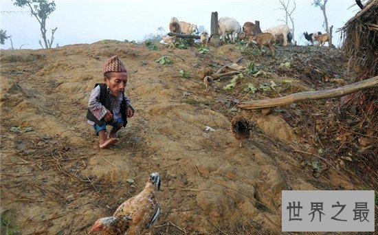 目前世界上最矮的人75岁未娶 身高仅有54.6厘米