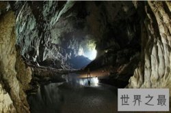 世界上最深的海沟马里亚纳海沟里有生物的存在吗