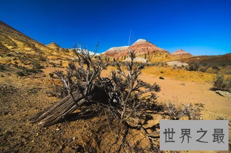 环球探索之世界上最大的内陆国是哪个国家