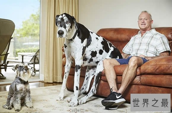 2017吉尼斯世界纪录大全,女子长15厘米的胡子