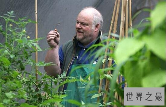 最辣辣椒1颗致命，龙吐气辣度已刷新世界纪录