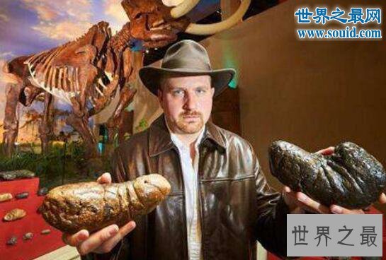 世界上收集最多粪便化石的人，1277块史前粪便