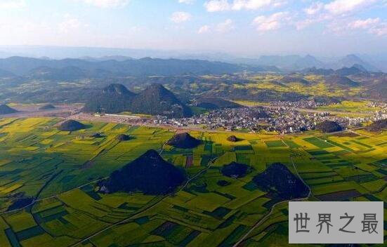 世界最大天成花园，云南罗平80万亩油菜花田