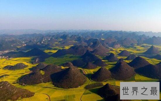 世界最大天成花园，云南罗平80万亩油菜花田