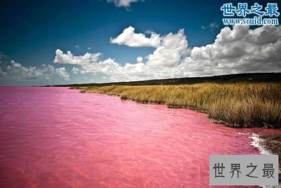 吉尼斯世界纪录中美丽的地球，最神奇的湖中湖