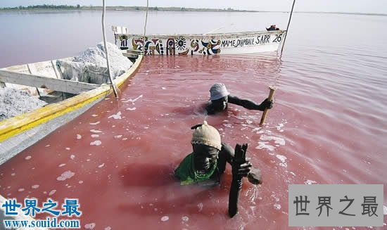 吉尼斯世界纪录中美丽的地球，最神奇的湖中湖