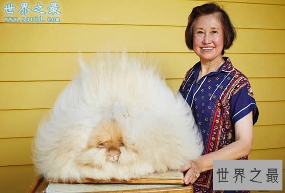 2016年吉尼斯世界纪录大全15个精选