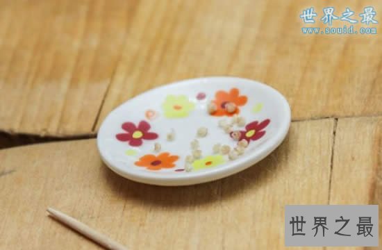 世界上最小的饺子,吃1000都吃不饱(0.0016克)
