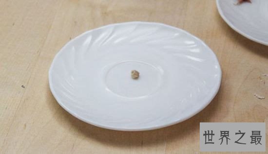 世界上最小的饺子,吃1000都吃不饱(0.0016克)
