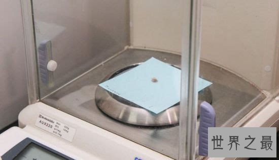 世界上最小的饺子,吃1000都吃不饱(0.0016克)