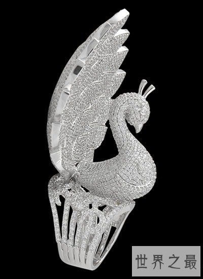 一枚镶嵌最多钻石的戒指，3827颗