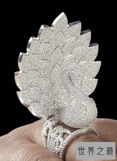 一枚镶嵌最多钻石的戒指，3827颗