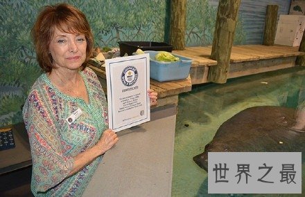 世界上寿命最长的海牛,目前寿命达67岁