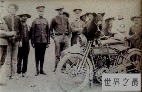 最大规模的维尼小熊纪念品,11485件