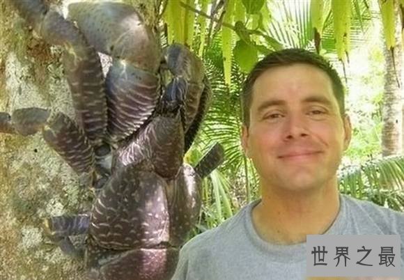 世界上最大的节肢动物