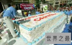 世界上最大的冰淇淋蛋糕