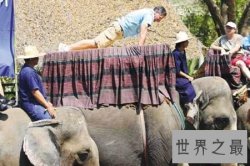 俯卧撑世界纪录