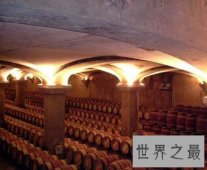 世界上最高的酒窖