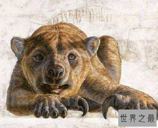 袋狮为什么灭绝,它是史上咬力最强的哺乳动物