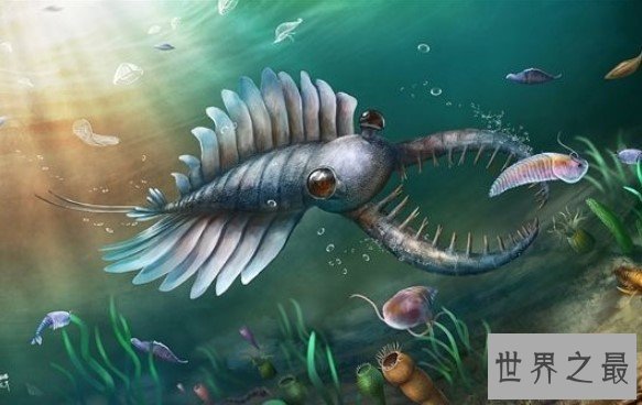 已知最庞大的寒武纪动物,5.3亿年前海洋中最凶猛的捕食者