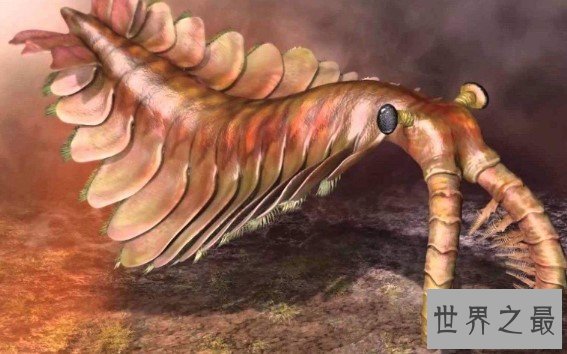 已知最庞大的寒武纪动物,5.3亿年前海洋中最凶猛的捕食者
