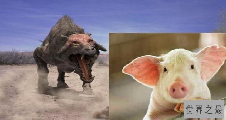 洪荒时代能与恐龙对抗的猪,后因智商太低被灭绝
