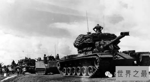 世界上杀人最多动物排行,第一你绝对猜不到