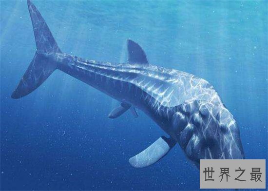 利兹巨鱼非常凶残,但不会主动进行攻击