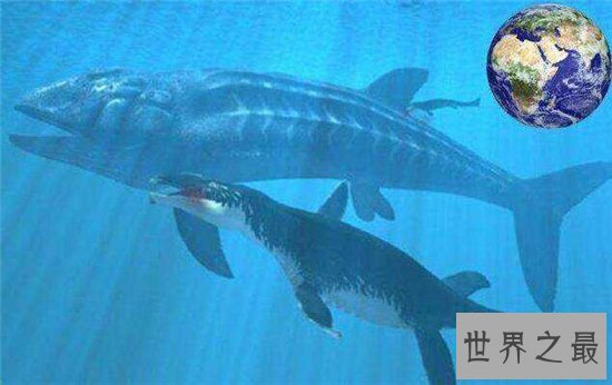 利兹巨鱼非常凶残,但不会主动进行攻击