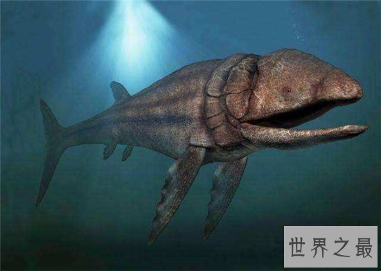 利兹巨鱼非常凶残,但不会主动进行攻击