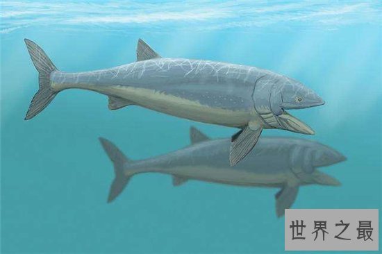 利兹巨鱼非常凶残,但不会主动进行攻击