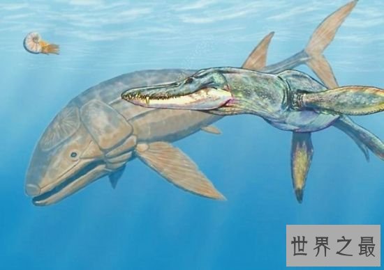 利兹巨鱼非常凶残,但不会主动进行攻击