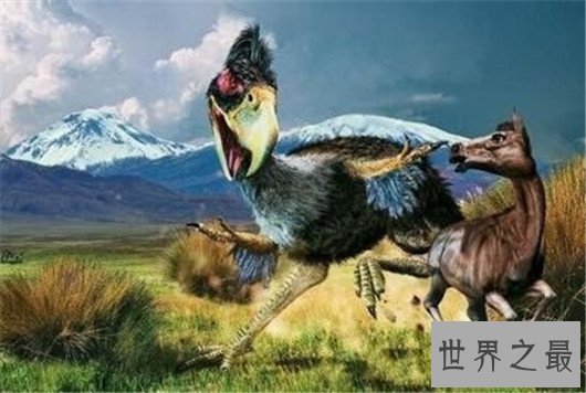 世界上翅膀最大的鸟,比人的手臂都长