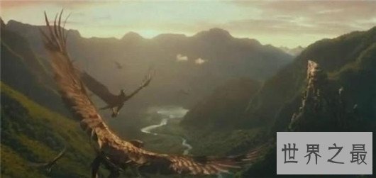 世界上翅膀最大的鸟,比人的手臂都长