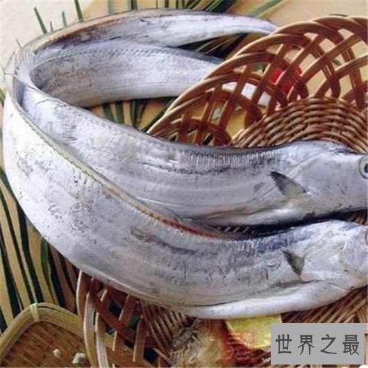 世界上生命最短暂的鱼,生存的时间短的让人惋惜