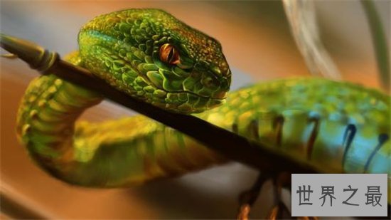 绿茸线蛇来源于小说,深海中是否真的存在呢?
