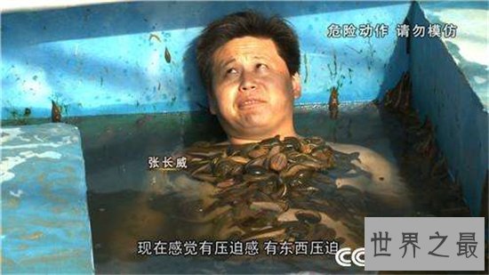 暴君水蛭繁殖能力强大,生殖器却小到肉眼看不见