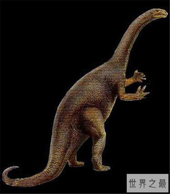 最早的哺乳动物,摩根齿兽距今2.05亿年历史!